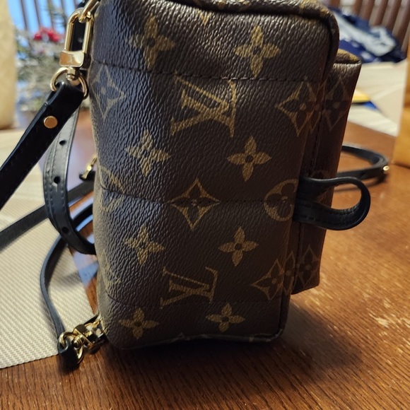 LOUIS VUITTON Palm Springs Mini Backpack - Picture 12 of 12